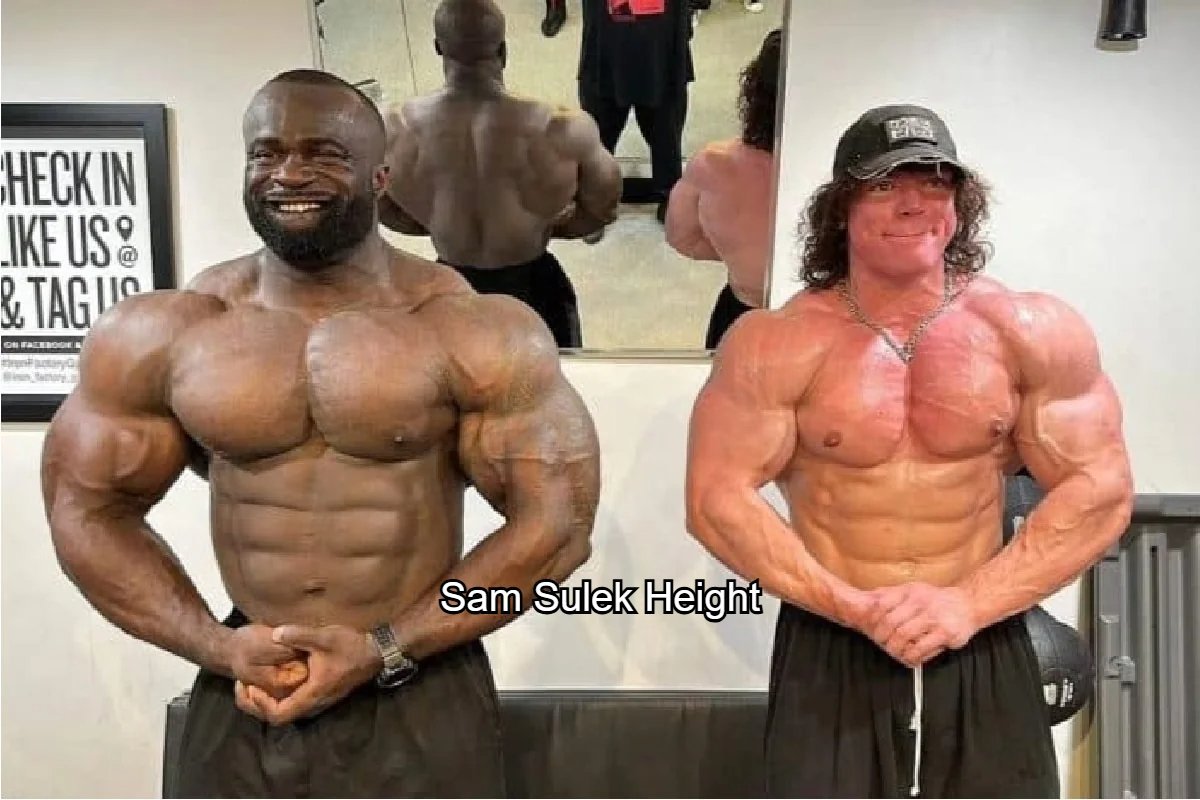 Sam Sulek Height