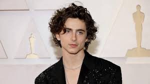 Timothée Chalamet Age